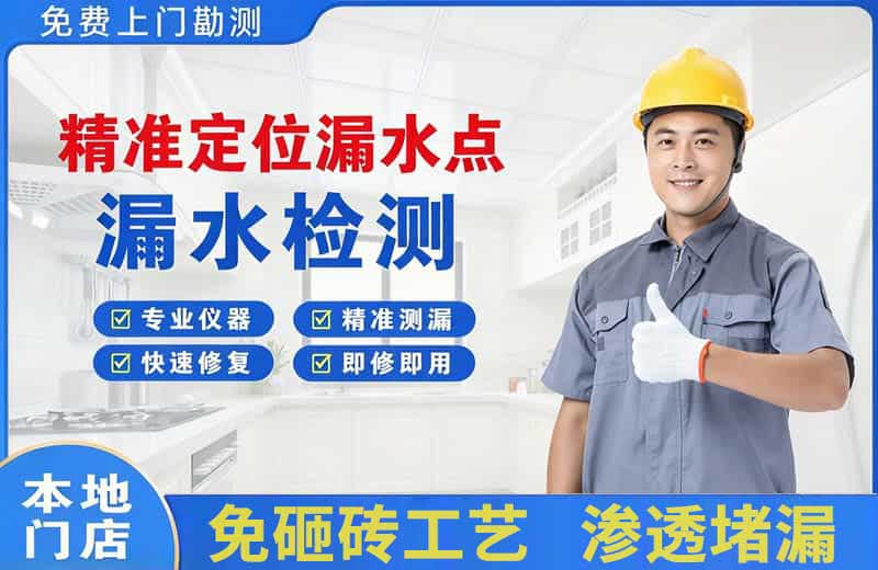 紫金精准测漏点